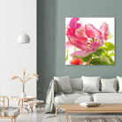 Parrot Tulip One by Judy Stalus on GIANT ART - multicolor photography; floral/still life
