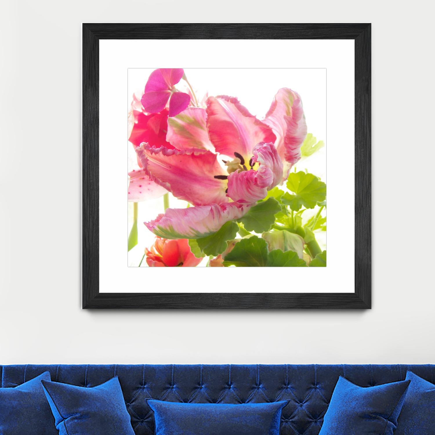 Parrot Tulip One by Judy Stalus on GIANT ART - multicolor photography; floral/still life
