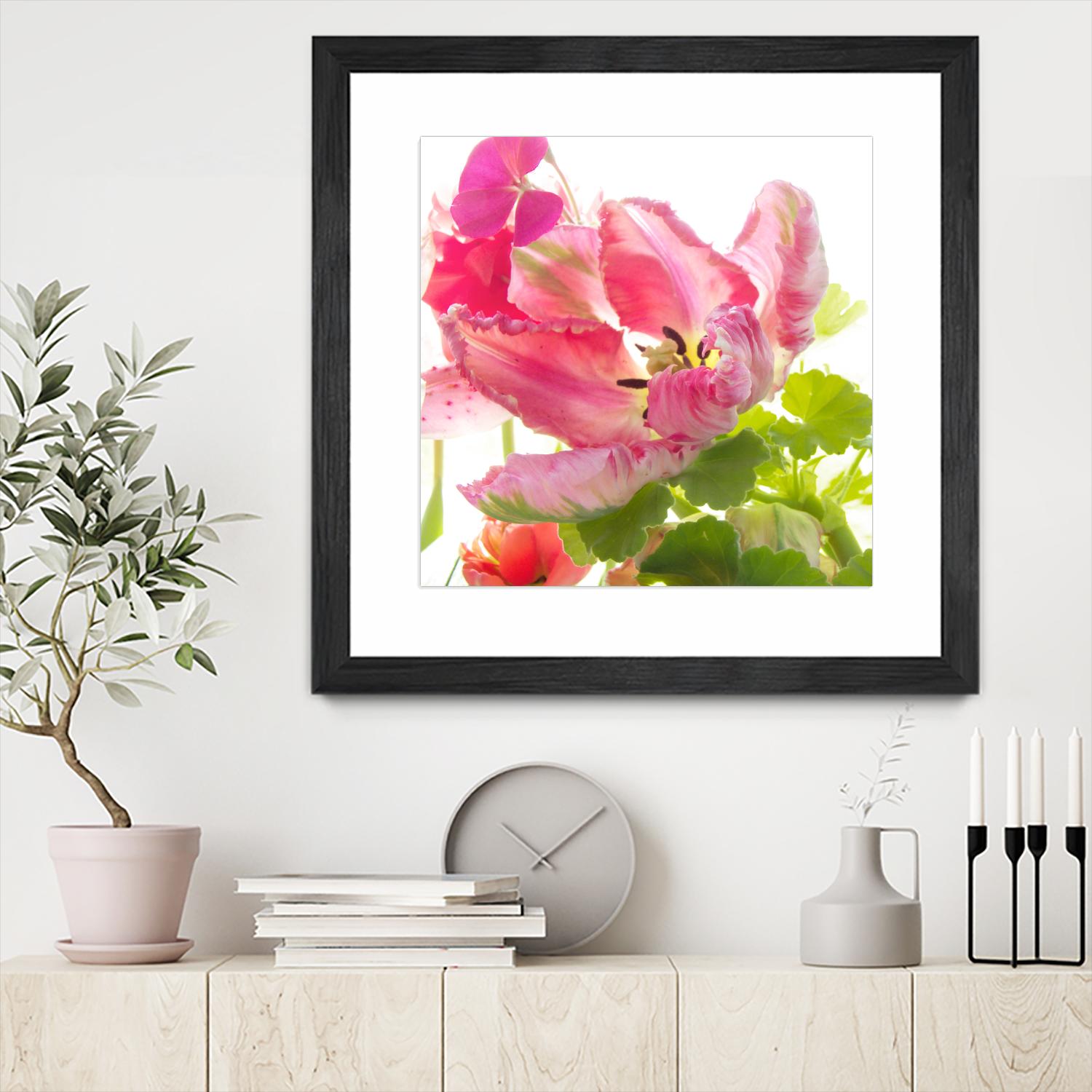 Parrot Tulip One by Judy Stalus on GIANT ART - multicolor photography; floral/still life