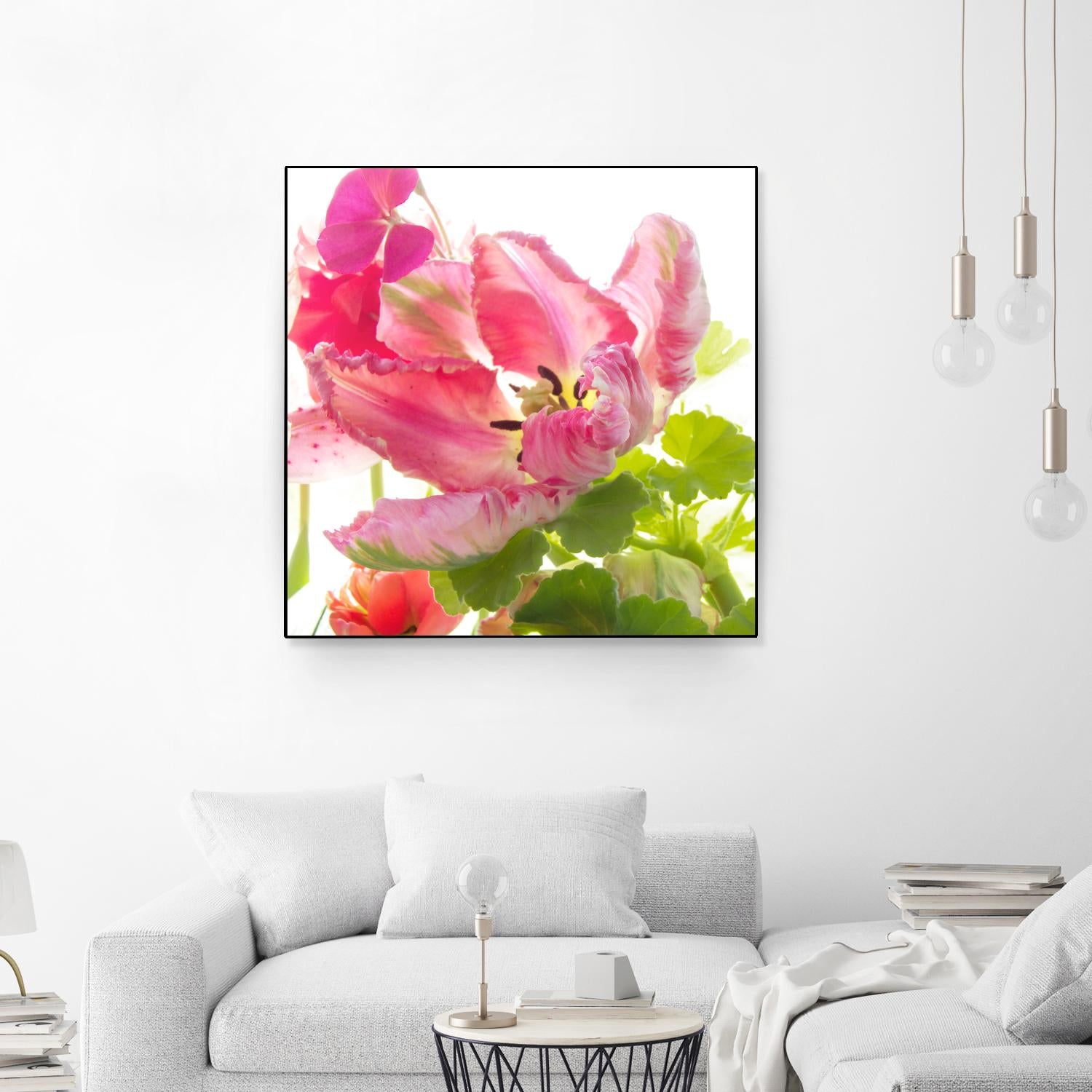 Parrot Tulip One by Judy Stalus on GIANT ART - multicolor photography; floral/still life