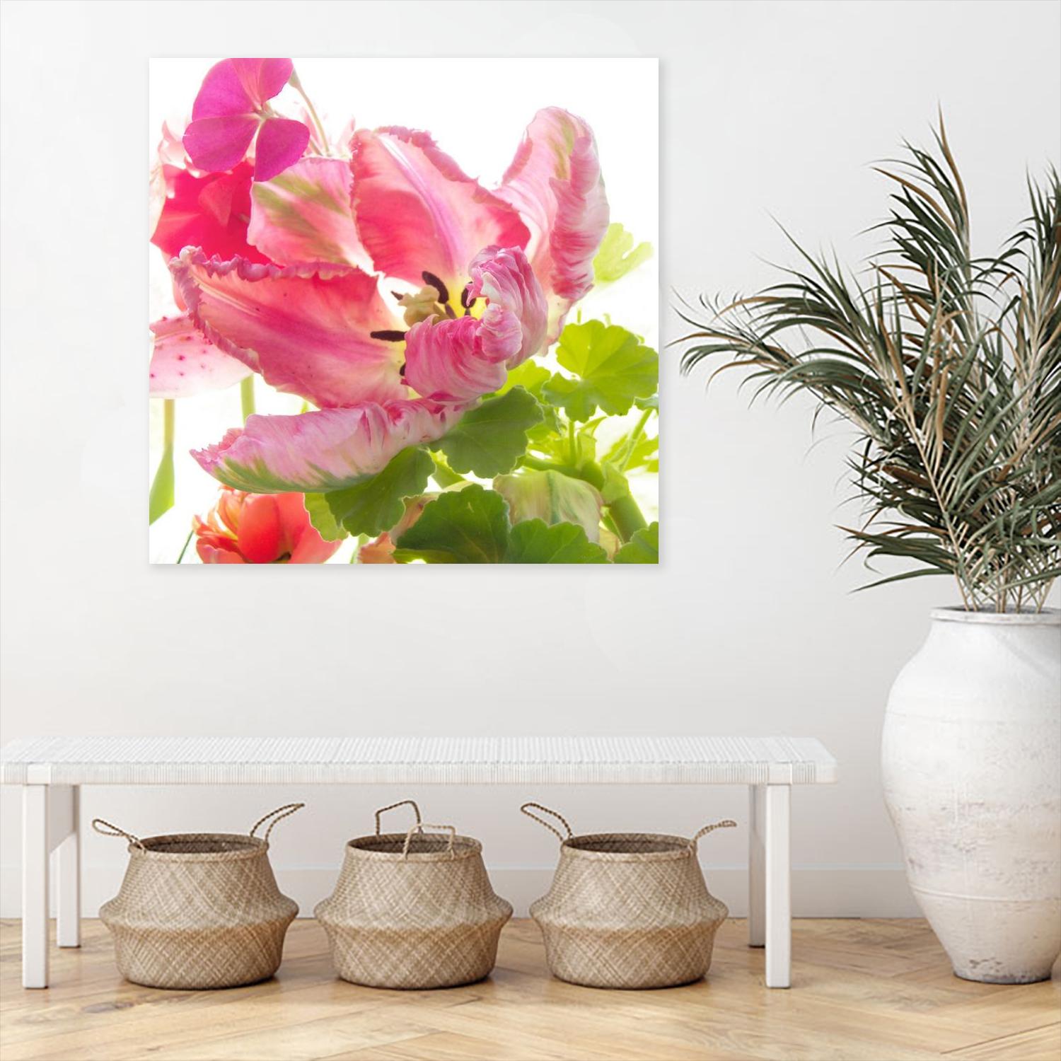 Parrot Tulip One by Judy Stalus on GIANT ART - multicolor photography; floral/still life