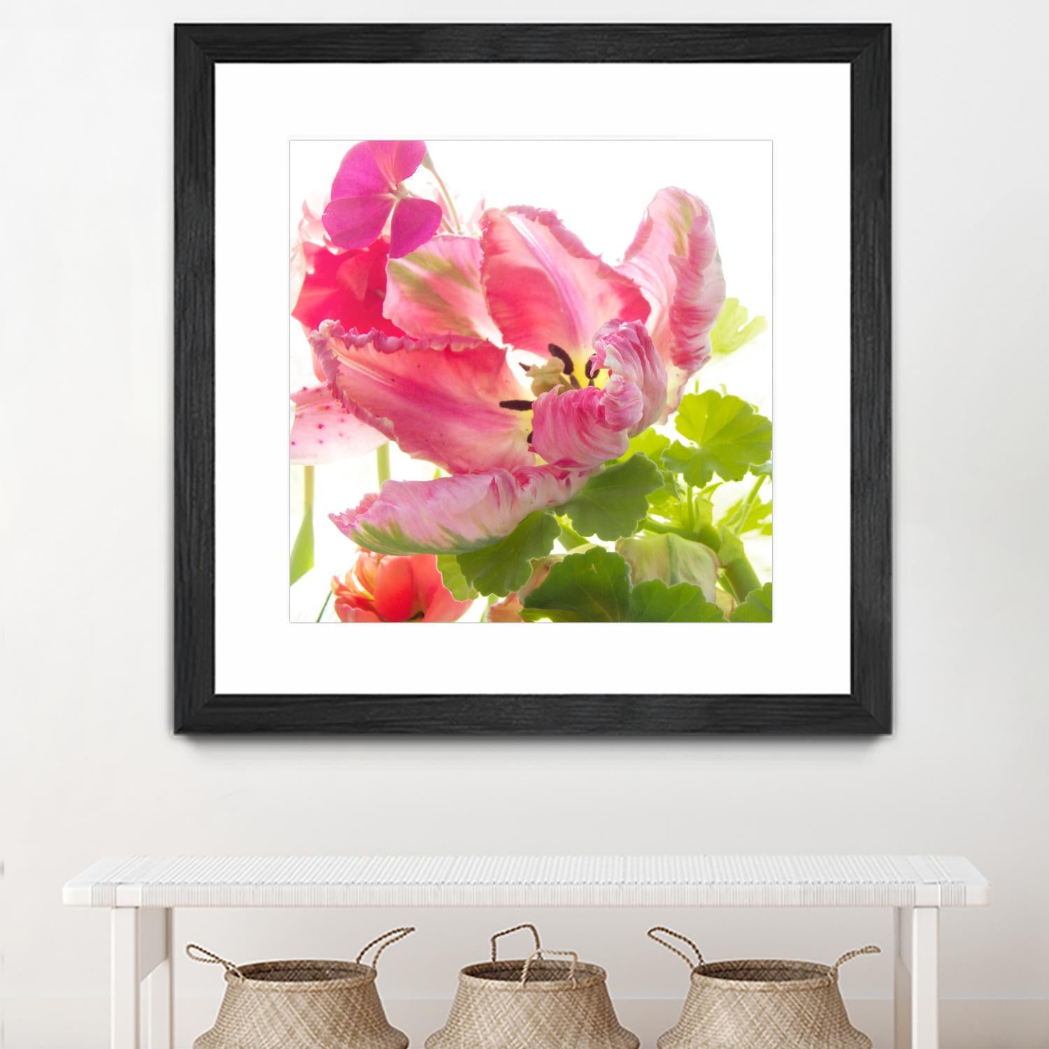 Parrot Tulip One by Judy Stalus on GIANT ART - multicolor photography; floral/still life