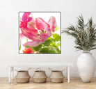 Parrot Tulip One by Judy Stalus on GIANT ART - multicolor photography; floral/still life