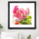 Parrot Tulip One by Judy Stalus on GIANT ART - multicolor photography; floral/still life