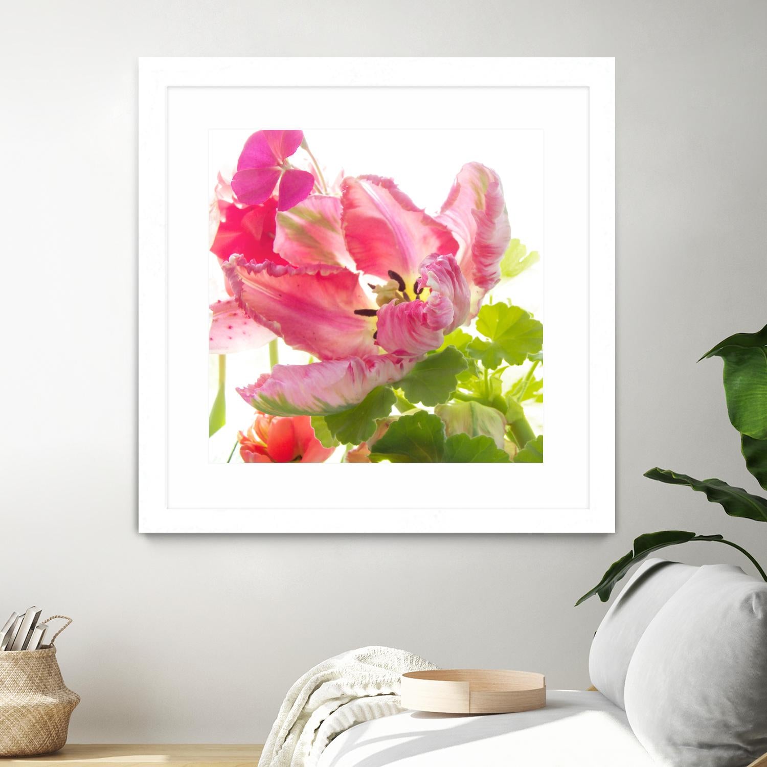 Parrot Tulip One by Judy Stalus on GIANT ART - multicolor photography; floral/still life