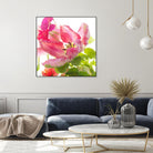 Parrot Tulip One by Judy Stalus on GIANT ART - multicolor photography; floral/still life