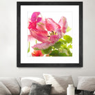 Parrot Tulip One by Judy Stalus on GIANT ART - multicolor photography; floral/still life
