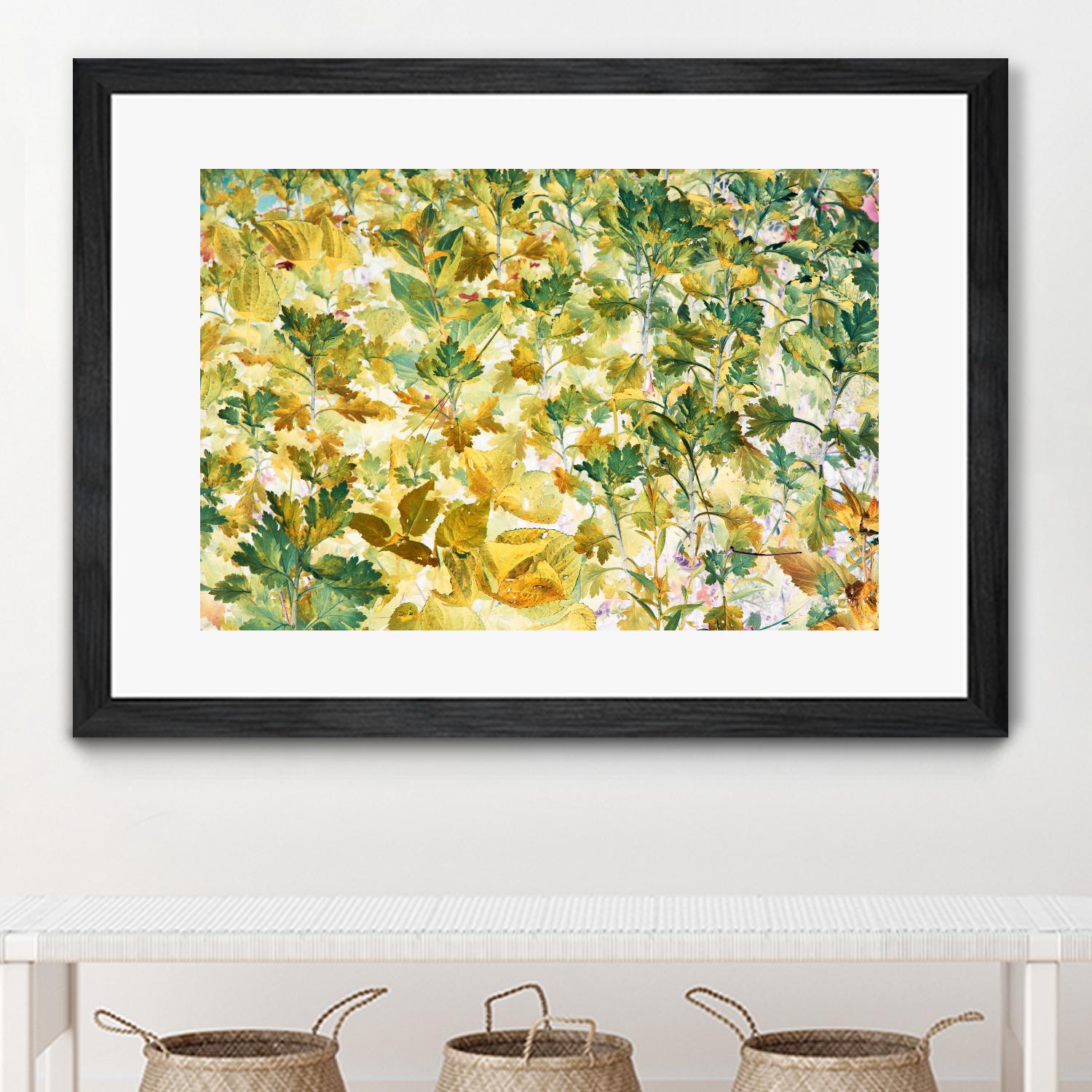 Autumn Tapestry by Judy Stalus on GIANT ART - multicolor photography; floral/still life; contemporary