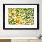 Autumn Tapestry by Judy Stalus on GIANT ART - multicolor photography; floral/still life; contemporary