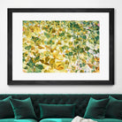 Autumn Tapestry by Judy Stalus on GIANT ART - multicolor photography; floral/still life; contemporary