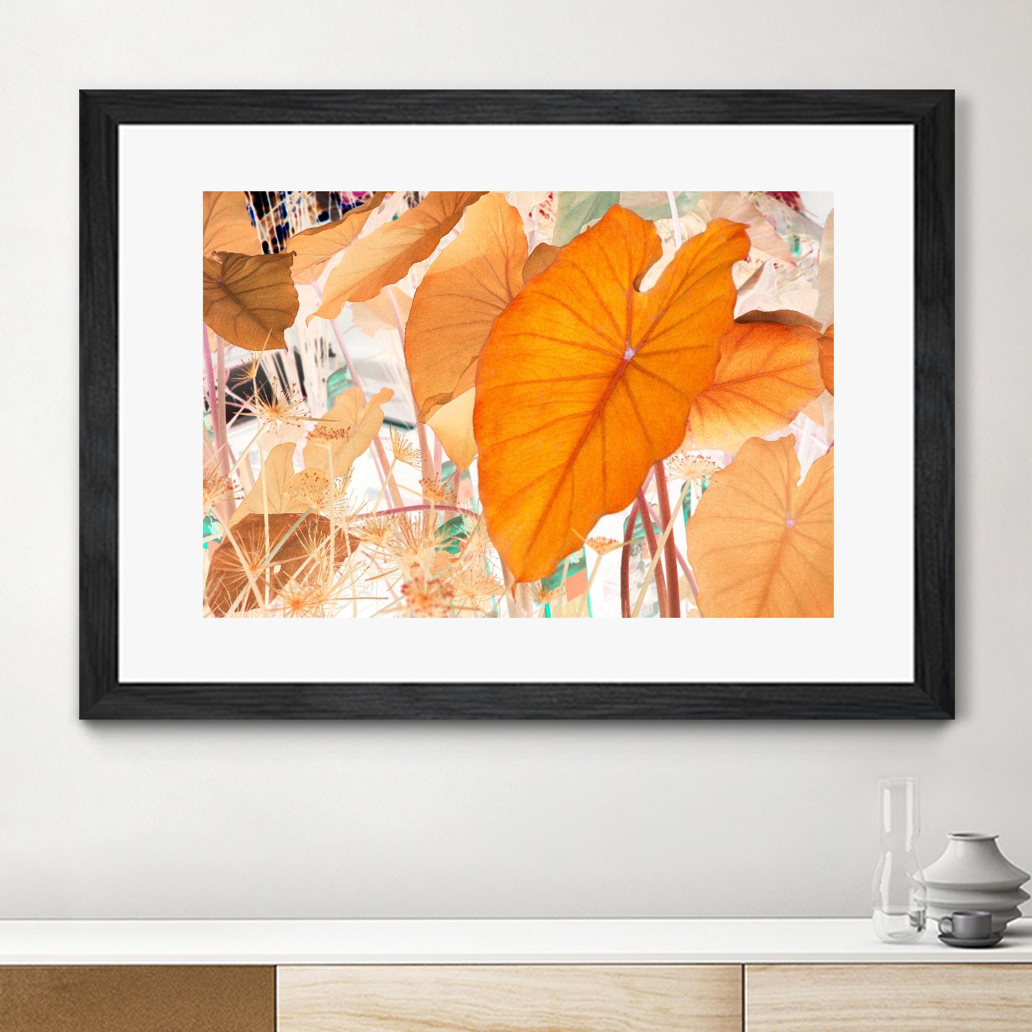 Elephant Ears by Judy Stalus on GIANT ART - multicolor photography; floral/still life; contemporary