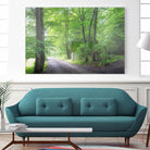 Frenzy Green by Anne Schneidersmann on GIANT ART - multicolor photography; landscapes