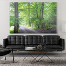 Frenzy Green by Anne Schneidersmann on GIANT ART - multicolor photography; landscapes