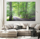 Frenzy Green by Anne Schneidersmann on GIANT ART - multicolor photography; landscapes