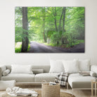Frenzy Green by Anne Schneidersmann on GIANT ART - multicolor photography; landscapes