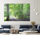 Frenzy Green by Anne Schneidersmann on GIANT ART - multicolor photography; landscapes