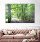 Frenzy Green by Anne Schneidersmann on GIANT ART - multicolor photography; landscapes