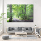 Frenzy Green by Anne Schneidersmann on GIANT ART - multicolor photography; landscapes