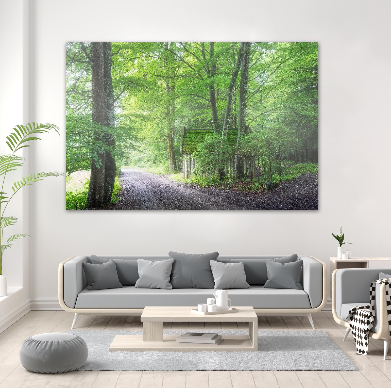 Frenzy Green by Anne Schneidersmann on GIANT ART - multicolor photography; landscapes