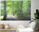 Frenzy Green by Anne Schneidersmann on GIANT ART - multicolor photography; landscapes