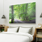 Frenzy Green by Anne Schneidersmann on GIANT ART - multicolor photography; landscapes