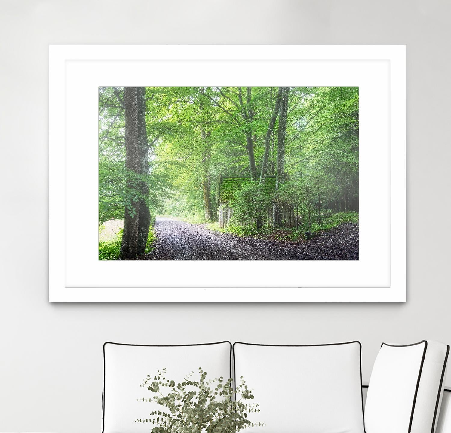 Frenzy Green by Anne Schneidersmann on GIANT ART - multicolor photography; landscapes