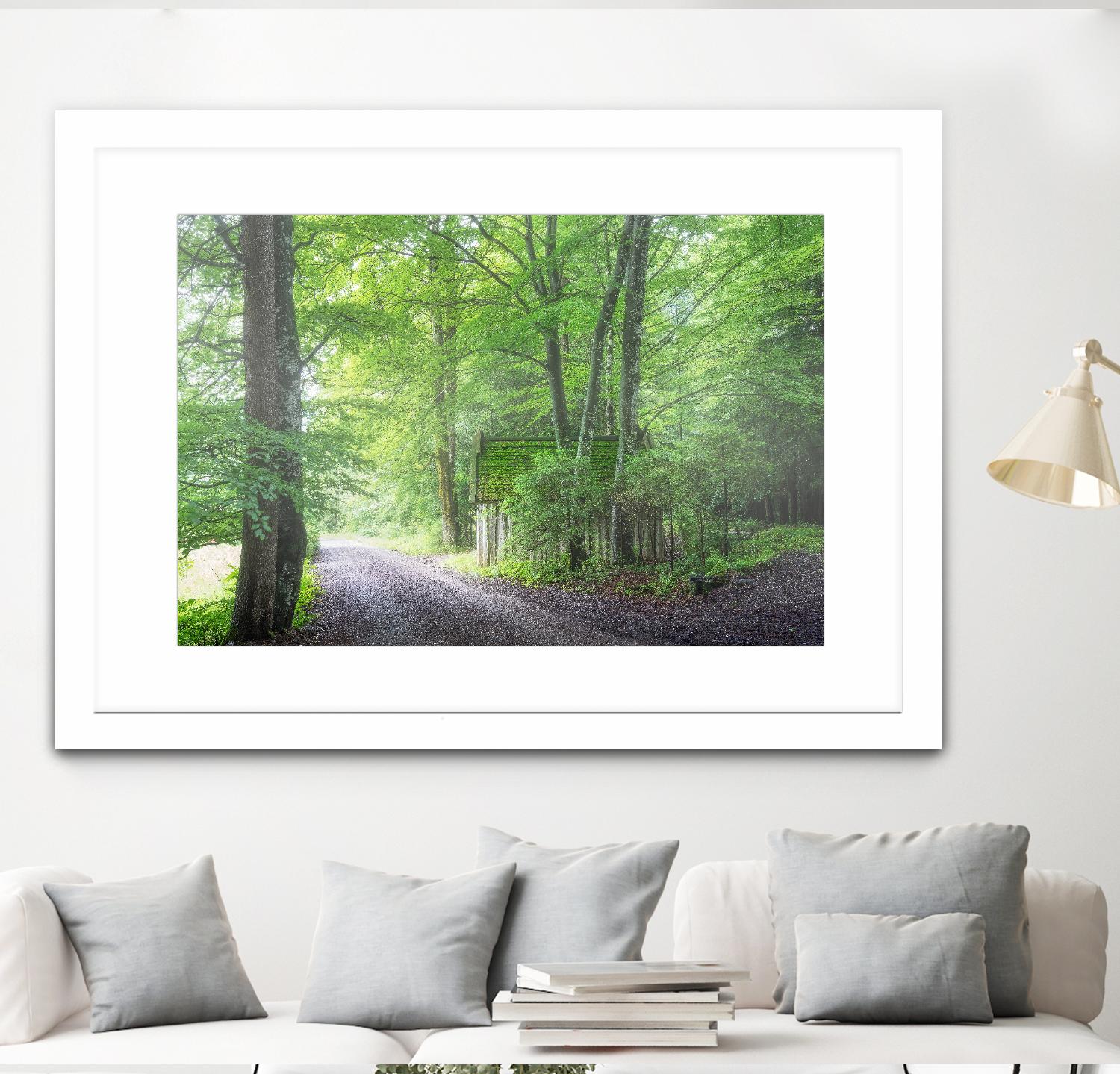 Frenzy Green by Anne Schneidersmann on GIANT ART - multicolor photography; landscapes