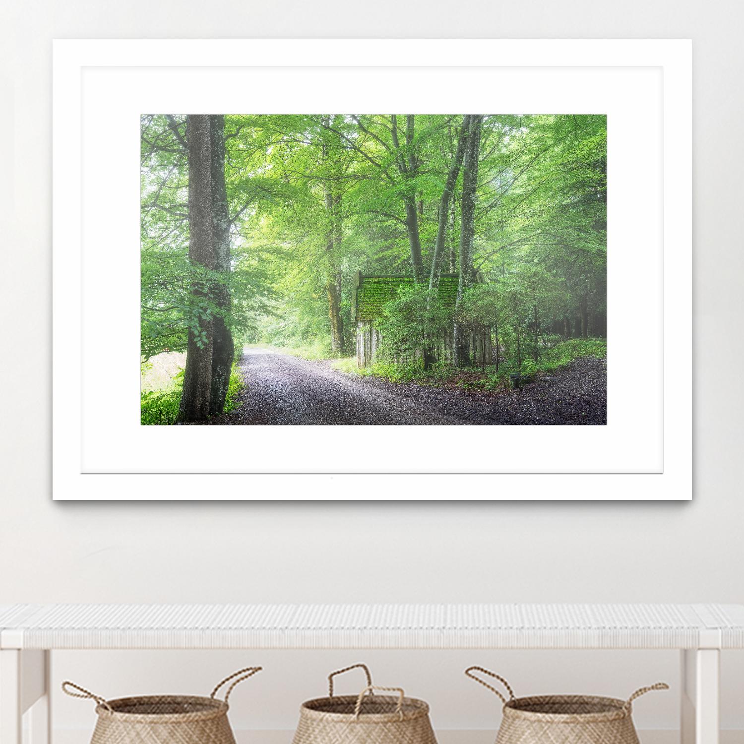 Frenzy Green by Anne Schneidersmann on GIANT ART - multicolor photography; landscapes