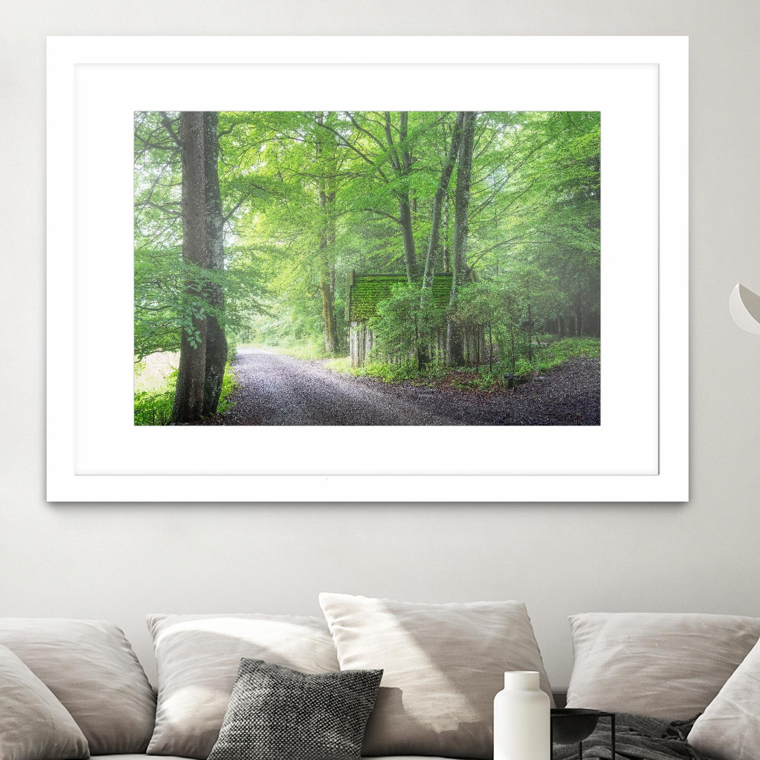 Frenzy Green by Anne Schneidersmann on GIANT ART - multicolor photography; landscapes