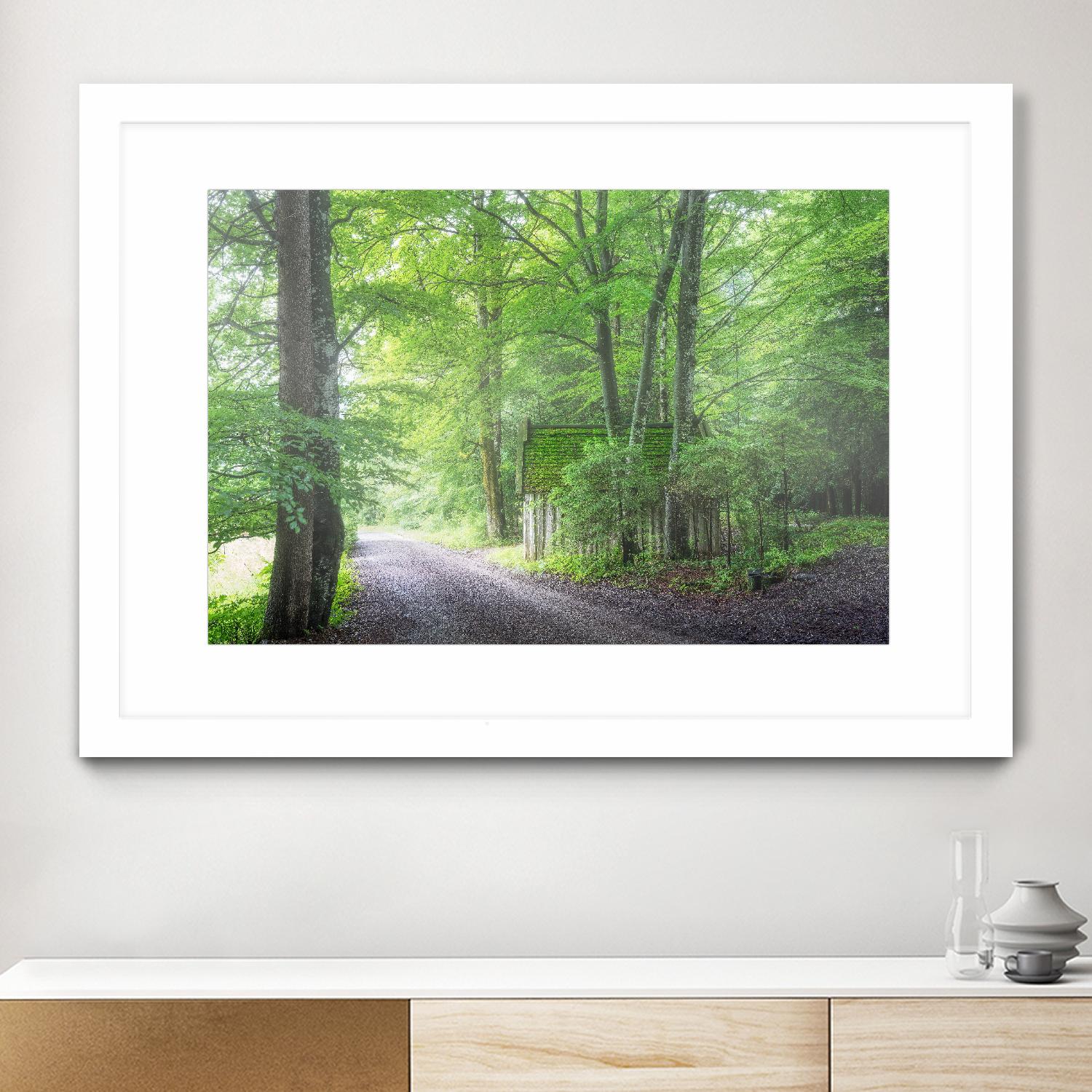 Frenzy Green by Anne Schneidersmann on GIANT ART - multicolor photography; landscapes