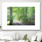 Frenzy Green by Anne Schneidersmann on GIANT ART - multicolor photography; landscapes