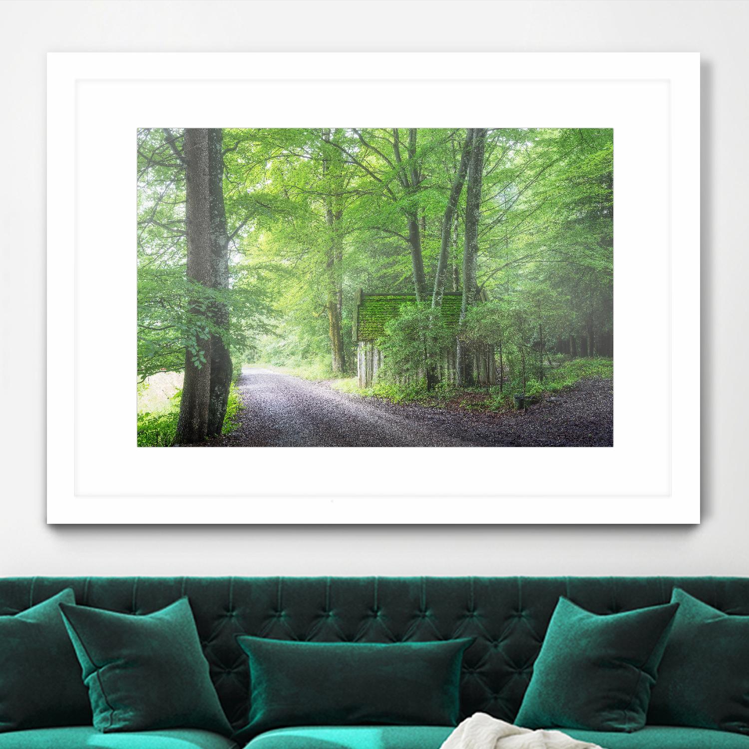 Frenzy Green by Anne Schneidersmann on GIANT ART - multicolor photography; landscapes