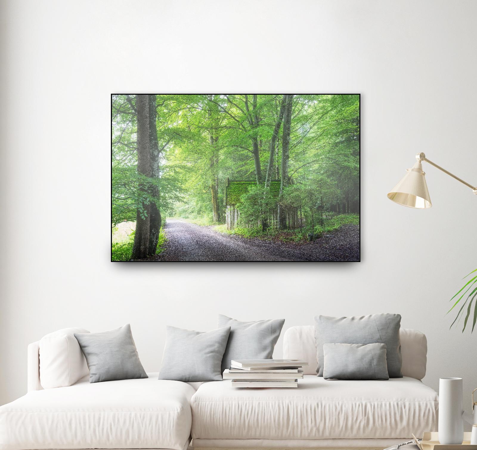 Frenzy Green by Anne Schneidersmann on GIANT ART - multicolor photography; landscapes