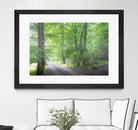 Frenzy Green by Anne Schneidersmann on GIANT ART - multicolor photography; landscapes