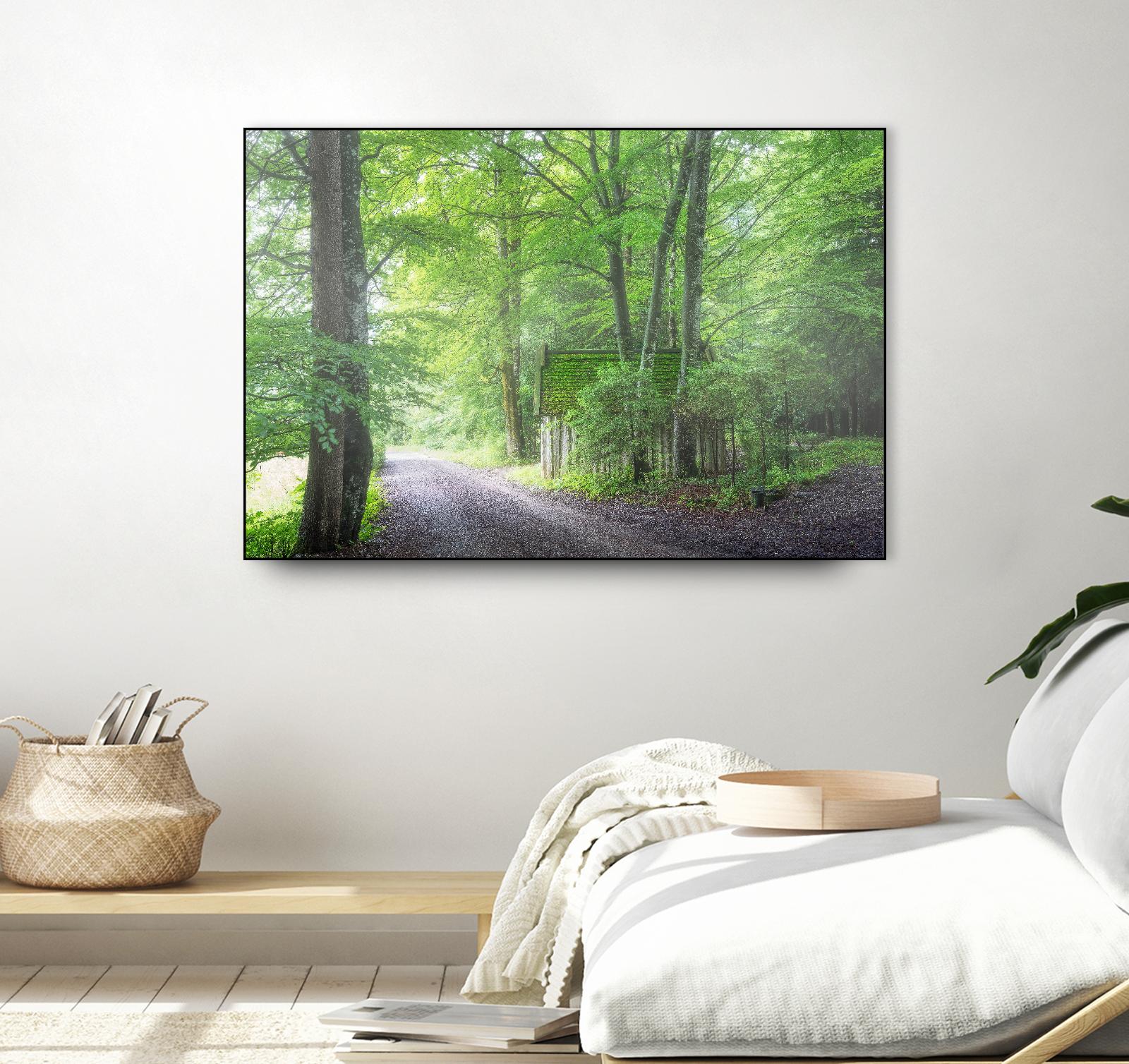 Frenzy Green by Anne Schneidersmann on GIANT ART - multicolor photography; landscapes
