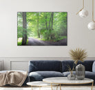Frenzy Green by Anne Schneidersmann on GIANT ART - multicolor photography; landscapes