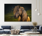 Born To Be Wild by Anne Schneidersmann on GIANT ART - multicolor photography; animals