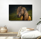Born To Be Wild by Anne Schneidersmann on GIANT ART - multicolor photography; animals