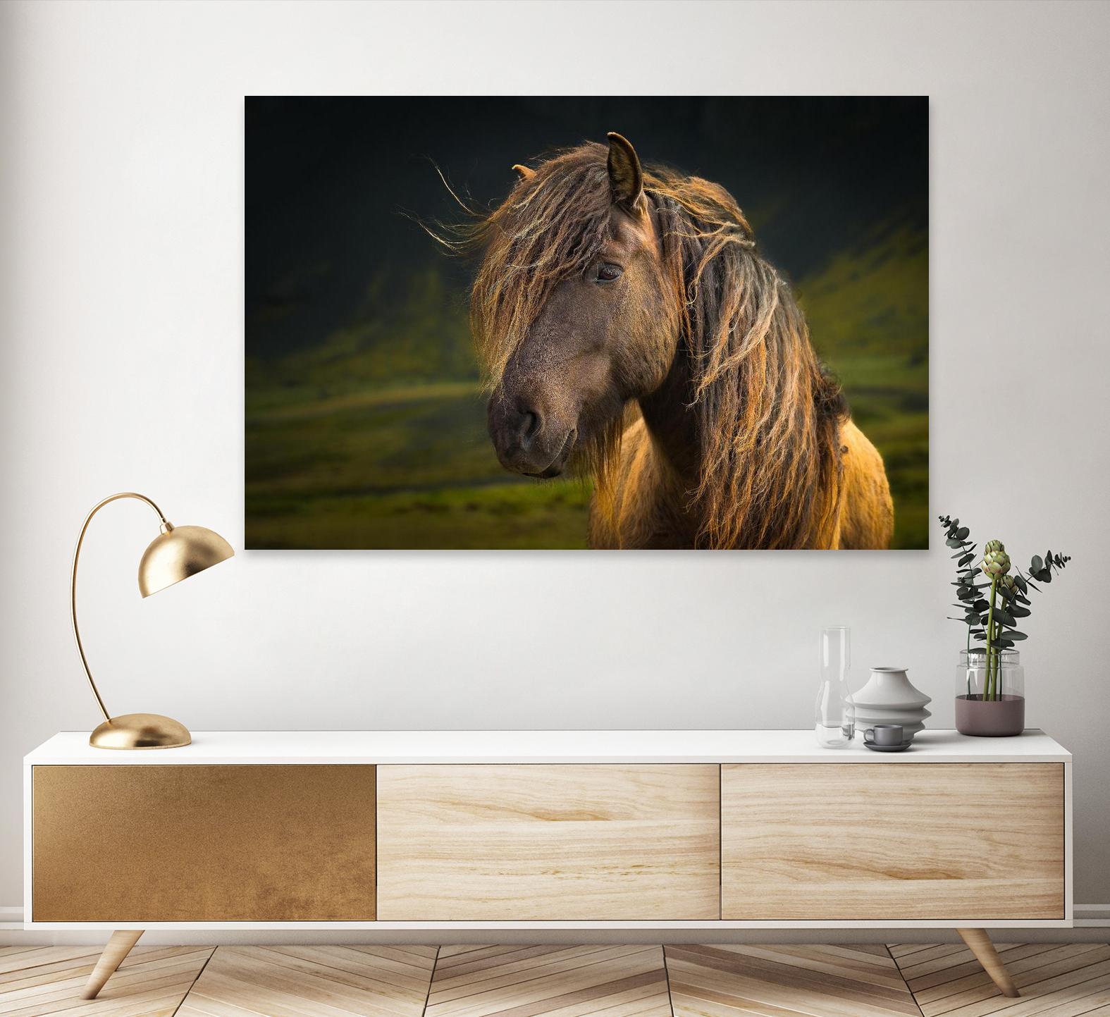 Born To Be Wild by Anne Schneidersmann on GIANT ART - multicolor photography; animals