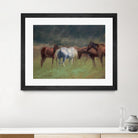Southern Horses by Valtcho Tonov on GIANT ART - multicolor animals; landscapes; contemporary
