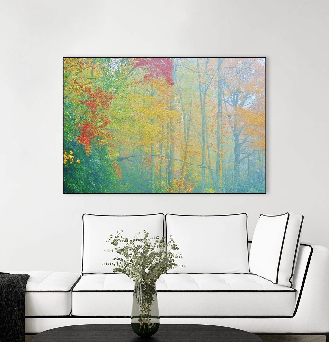 Autumn’s Palette by Steve Vaughn on GIANT ART - multicolor photography; landscapes