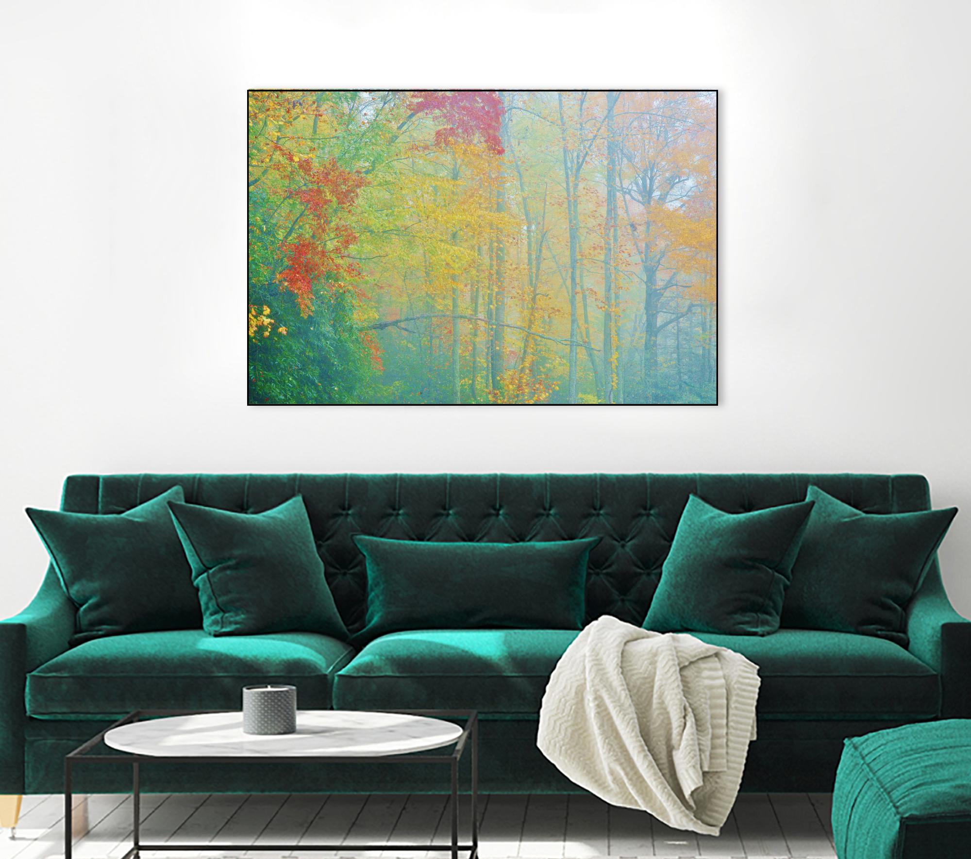 Autumn’s Palette by Steve Vaughn on GIANT ART - multicolor photography; landscapes