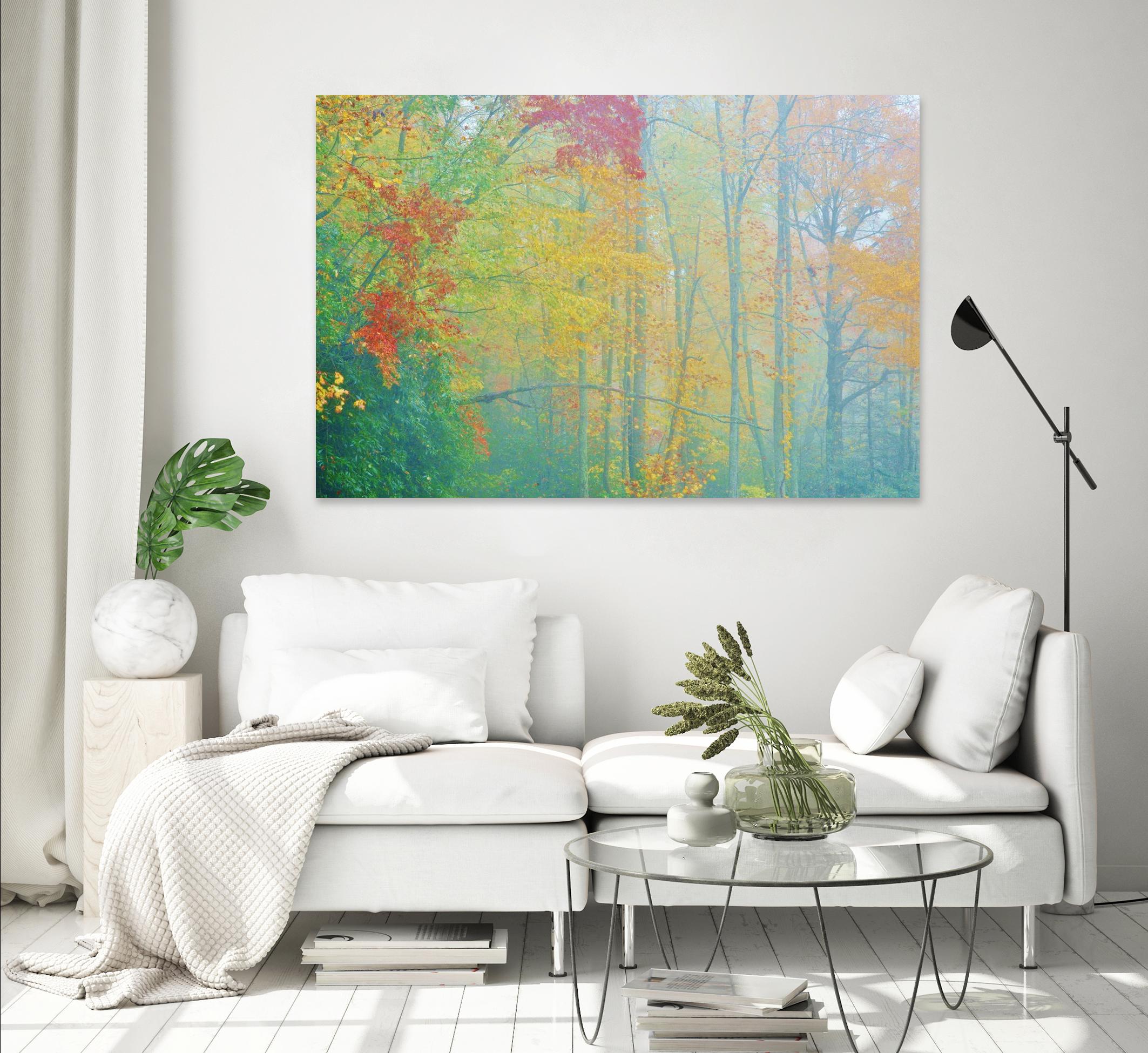 Autumn’s Palette by Steve Vaughn on GIANT ART - multicolor photography; landscapes