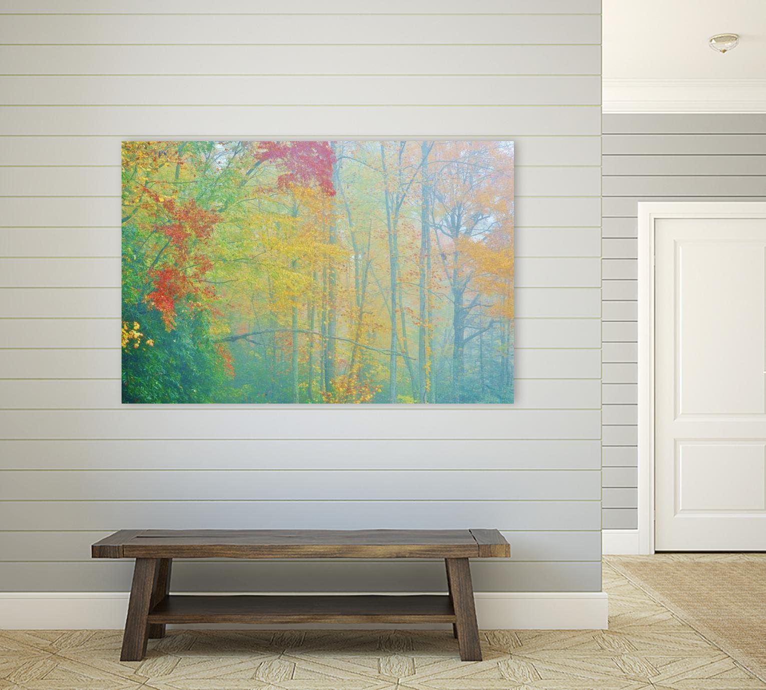 Autumn’s Palette by Steve Vaughn on GIANT ART - multicolor photography; landscapes