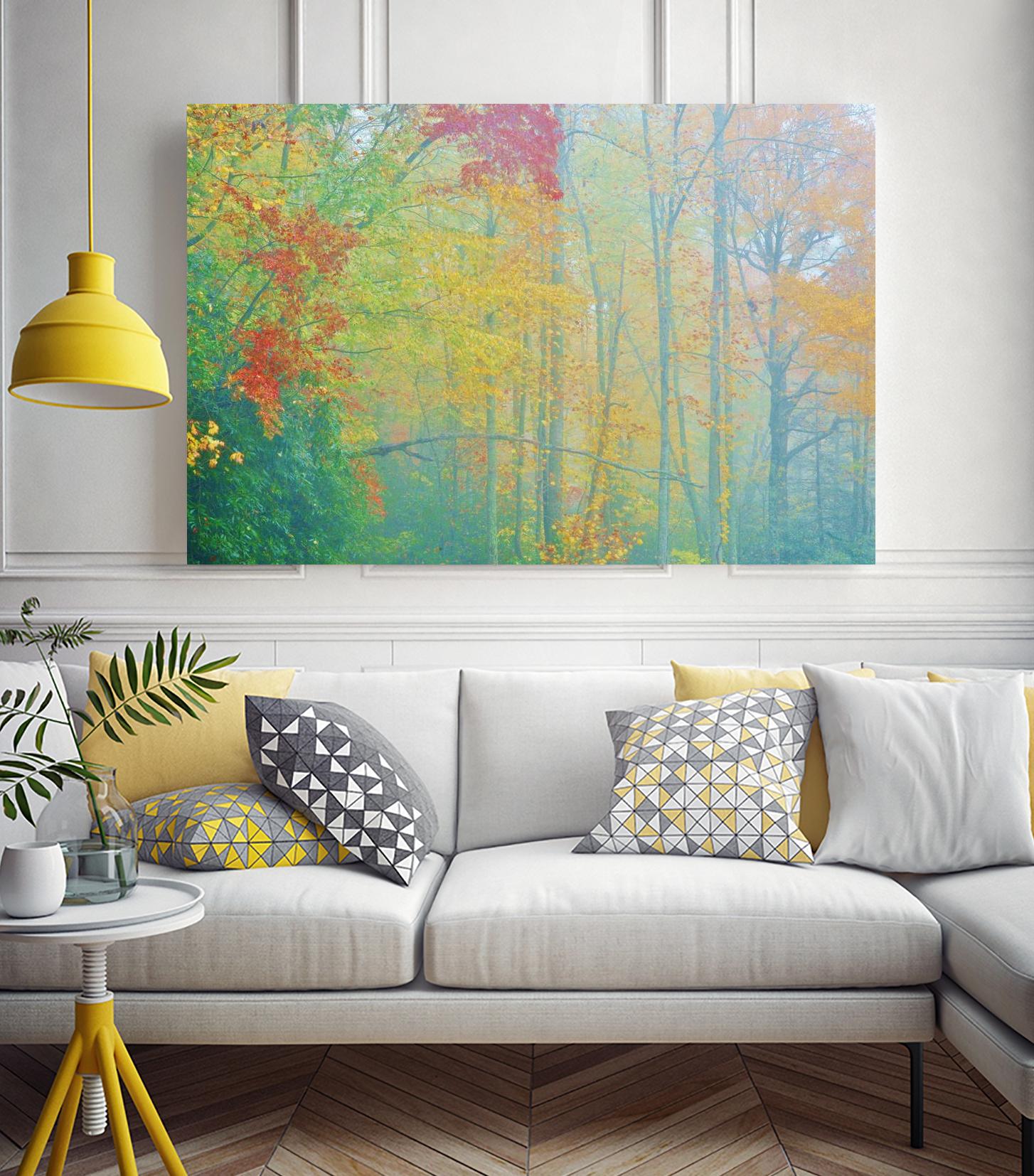 Autumn’s Palette by Steve Vaughn on GIANT ART - multicolor photography; landscapes