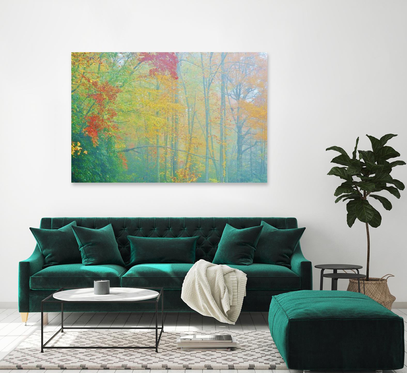Autumn’s Palette by Steve Vaughn on GIANT ART - multicolor photography; landscapes