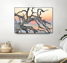 Sunrise Sentinel by Steve Vaughn on GIANT ART - multicolor photography; landscapes; coastal