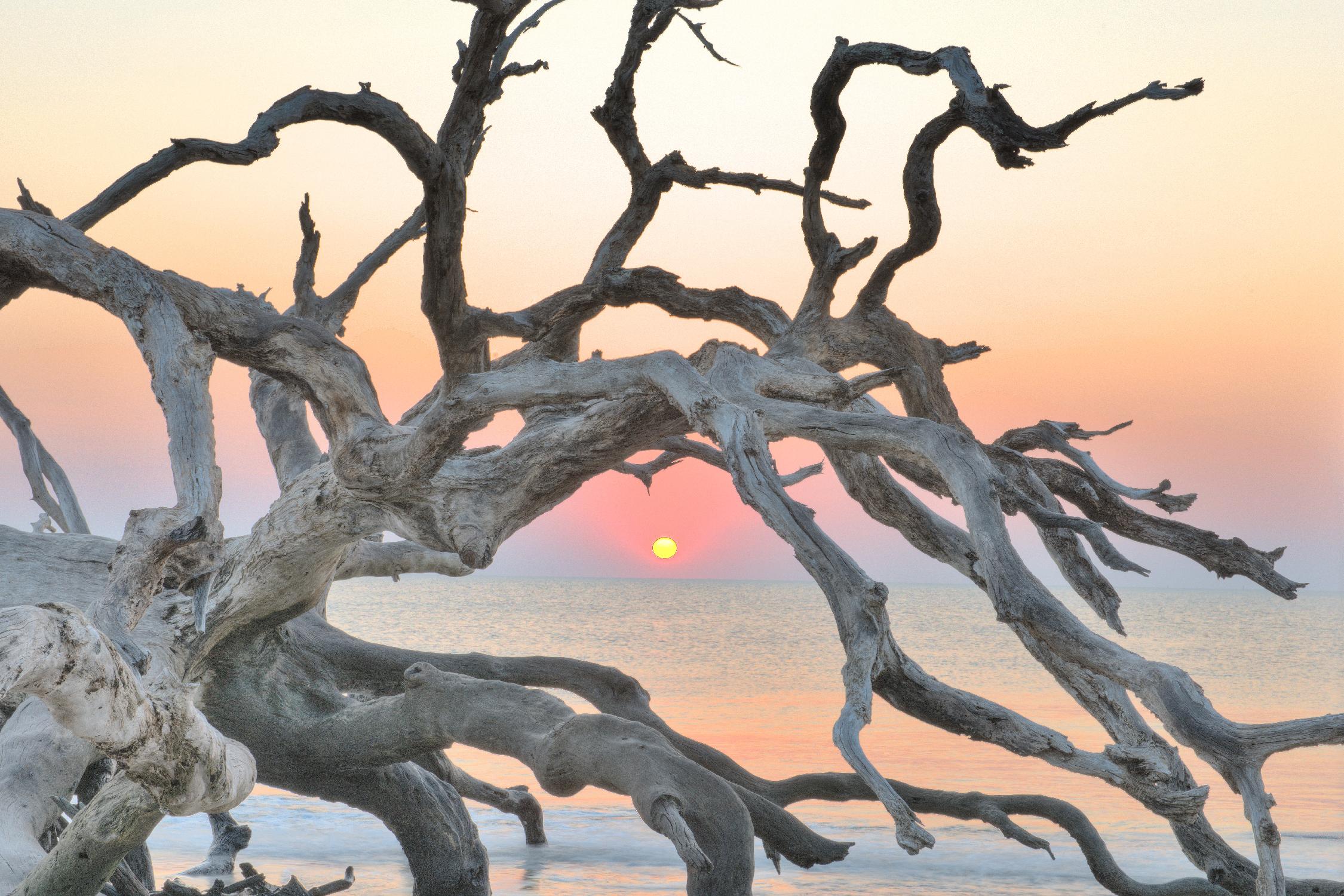 Sunrise Sentinel by Steve Vaughn on GIANT ART - multicolor photography; landscapes; coastal