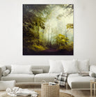 Glorious Woods by Dirk Wuestenhagen on GIANT ART - multicolor photography; landscapes