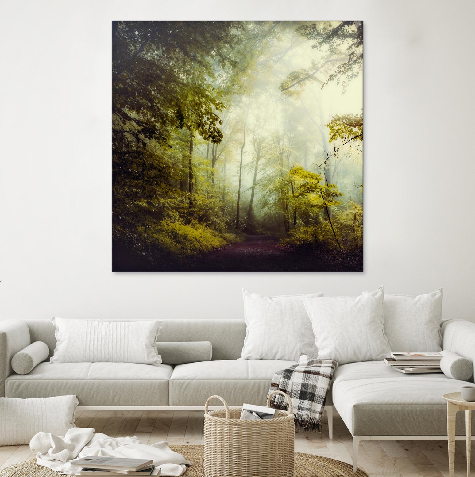 Glorious Woods by Dirk Wuestenhagen on GIANT ART - multicolor photography; landscapes